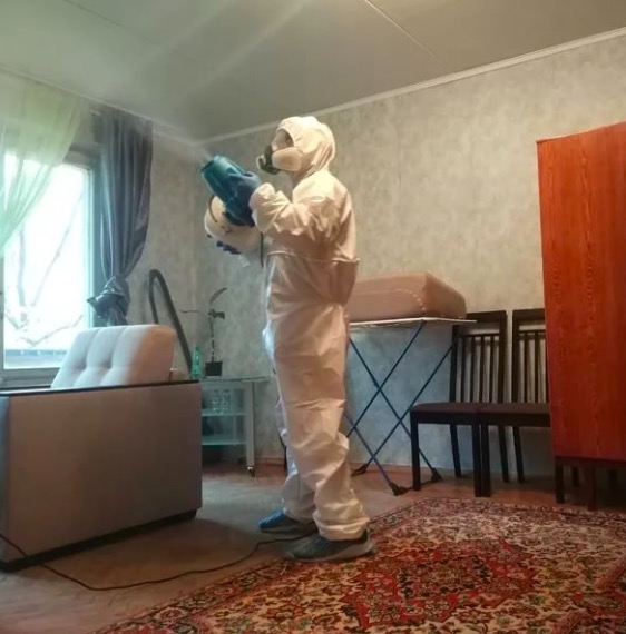дезинсекция квартиры в Мурманске